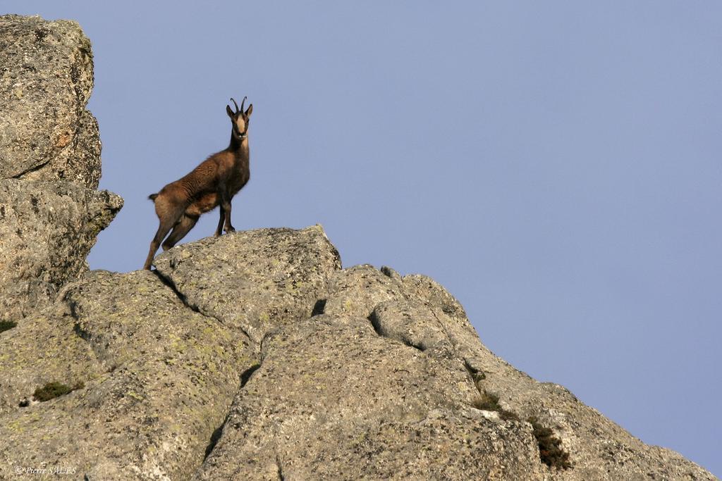 Vvf Pyrenees Canigou Prats-de-Mollo-la-Preste Exteriör bild